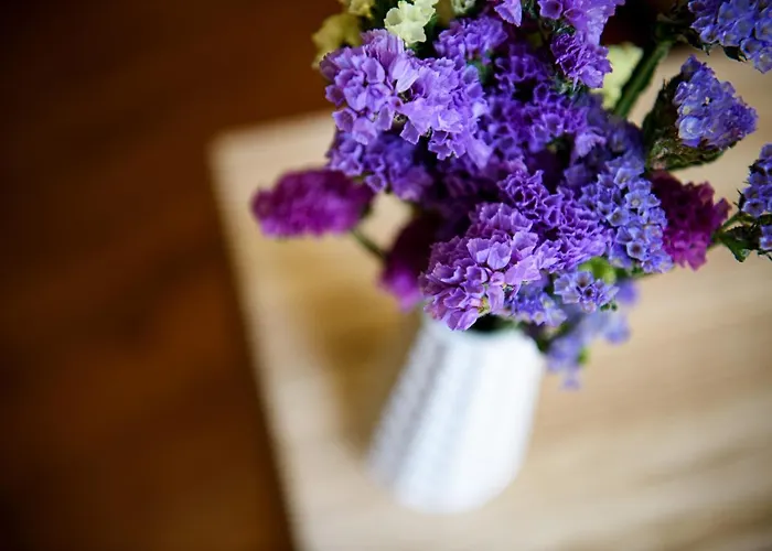 Gasthuis The Local Lissabon