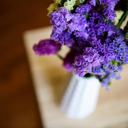 게스트하우스 The Local 리스본